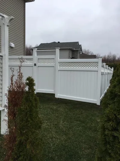 White PVC fence with lattice top section, cedar hedge alongside